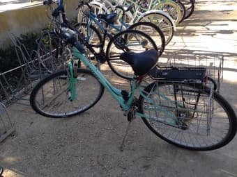 Beautiful women bike Raleigh 2