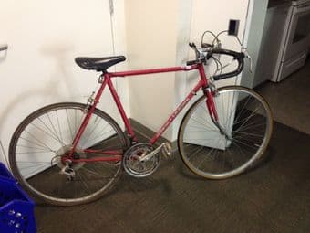 $100 red Schwinn le tour road bike for tall man 1