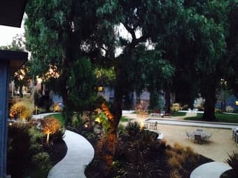 Short Term Sublet, 1 bed in 2bd/1ba Mountain View (11/15-12/15) 1