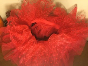 Brand New Red Tutu 1