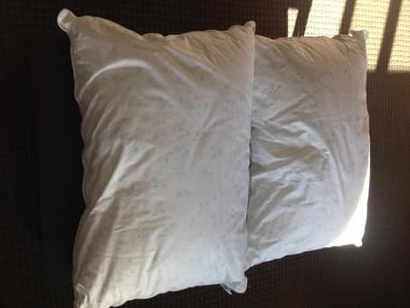 two Calvin Klein 100% cotton pillows for $5 1