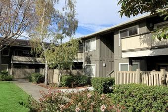 $1350 Looking for Roommate | Newly Remodeled | Awesome Amenities & Loc 3