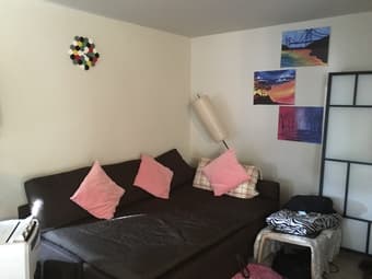 Private furnished apartment in Mountain View, $1200, Dec 23 - Jan 24 1