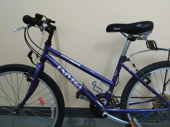 Bike_$100 2
