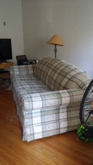 Sleeper Sofa $50 1