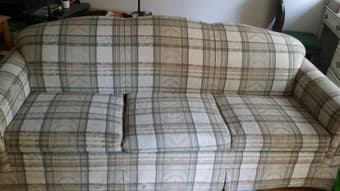 Sleeper Sofa $50 2