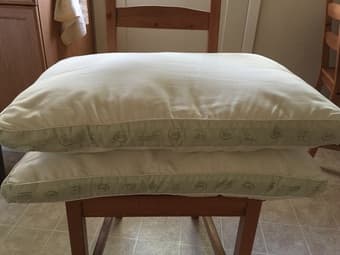 Pillow $5/each 2
