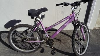 $70_Bike 1