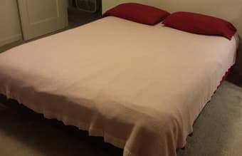 Queen size mattress (Sealy brand) + bed frame: $450 OBO 1