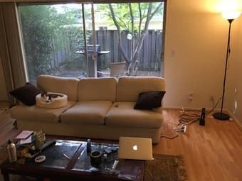 FREE PA apartment in exchange for cat-sitting (Dec 22-Jan 2) 1