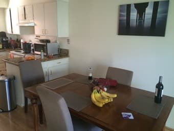 FREE PA apartment in exchange for cat-sitting (Dec 22-Jan 2) 3