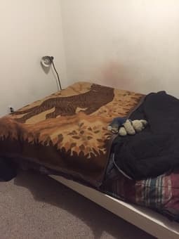 $20/NIGHT! Downtown Palo Alto Private Room 2