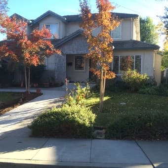 BEAUTIFUL ROOM IN LOS ALTOS - CUPERTINO HOME 3