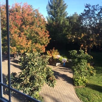 $995 NICE ROOM NEAR IN BEAUTIFUL HOME & NEIGHBORHOOD NEAR S.U. 3