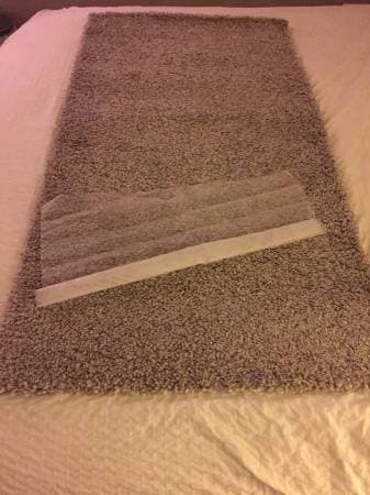 Ikea Alhede Rug - Oatmeal color - $20 1
