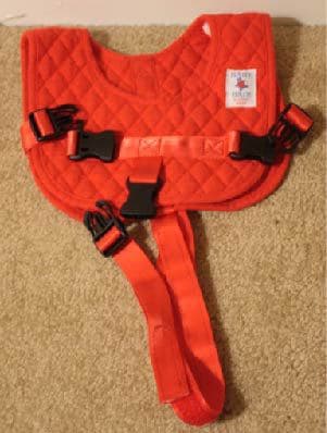 Baby B'Air Flight harness - $15 1