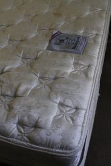 Great Mattress SEALY POSTERPEDIC ($20) plus two-part box spring for easy moving 1