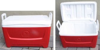 Cooler 45L - $20 1