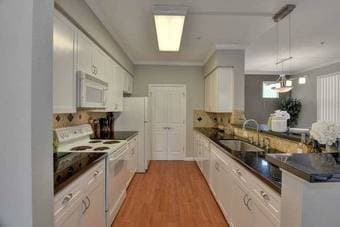 1 BR at Palo Alto $1550 (long term/short term - months) 3