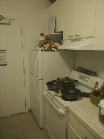EV Studio Sublet Dec28 to Jan15 2