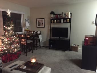 1 BR/1BA in Palo Alto, fully updated + partially furnished! 3