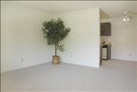 2 BR-2 BA Apt in Sunnyvale 1