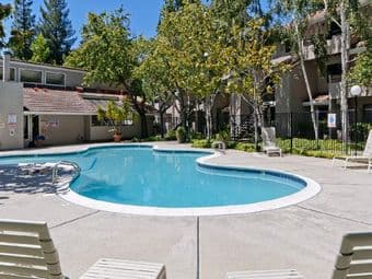 $1000 - Bedroom available for rent in 3Bed/2.5Bath apt in Sunnyale 2