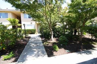 Menlo Park 2Br/2Ba apartment 客厅招租 1月23日开始拎包入住 1