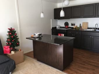 $2595 Renovated, Spacious 1-bedroom Palo Alto Apartment (715ft2) 1