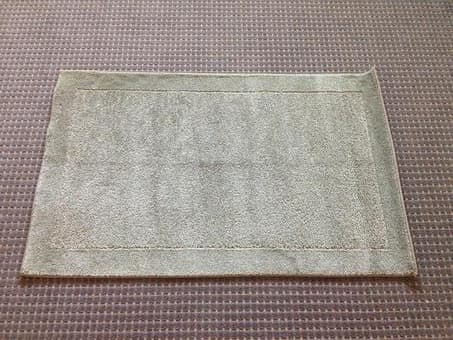 rug, $8 1
