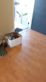 $1325/month - Single in a Spacious Apt, close to campus 3