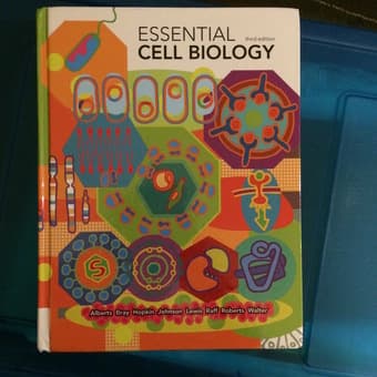 Bio, Psych, Chem Textbooks 2