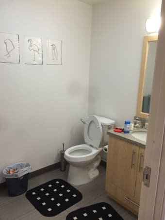 Junior Studio 02/03 to 02/23 inside of Campu for $ 702.80 2