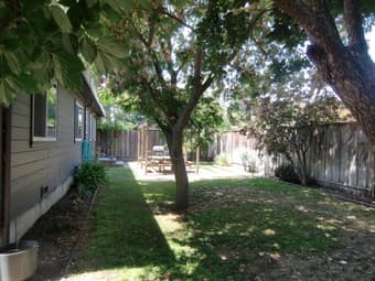 $5600/mo- 4Br/2BA Beautiful single family home-1600+sq ft (palo alto) 2