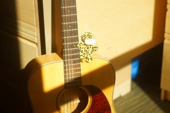 Guitar Cort Earth 100 3