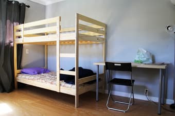 $900 - Shared room right next to on campus housing 3