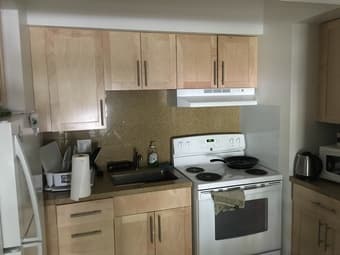 Room in Rains 2BR apartment available for Spring 2