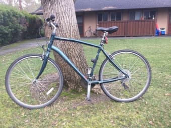 Norco Hybrid Bike $230 OBO (58cm frame, fits 5'10'-6'4") 2