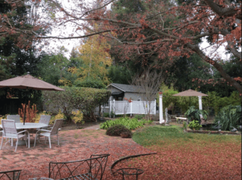 Charming Studio Cottage Mar-11 Mar-26 (Atherton) - 400ft2- $98/per day 1