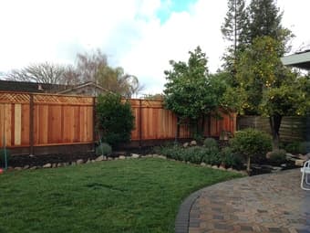 Sunny & Spacious Room w/ Awesome People + Huge Yard in a Large House 2