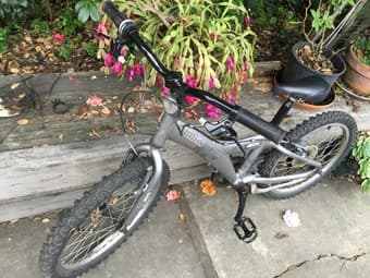 Giant kids bike for sale 1