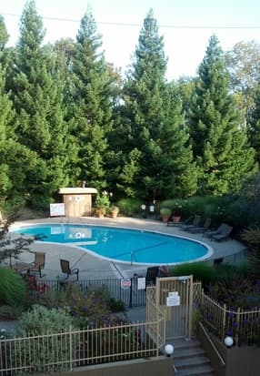 Gorgeous Bedroom+Private Bath in Mountain View Available soon(Female) 1