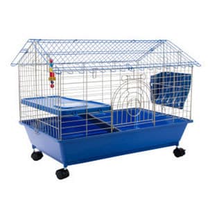 Guinea pig cage,timothy hay and food 1