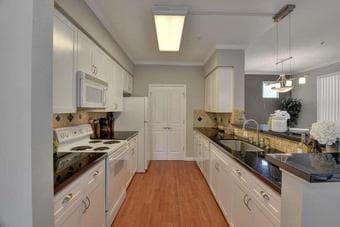 1 BR at Palo Alto ( Short term rental, 4/23 to 5/7) 3