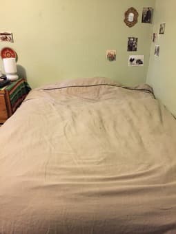 Full size Spring Air mattress + box spring and frame - $120 1