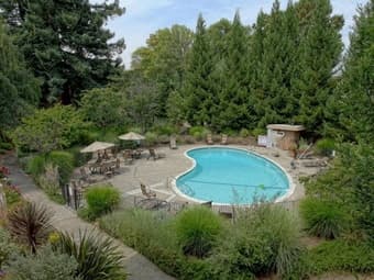 Gorgeous Furnished 1Bed+Private Bath in Mountain View available now 2