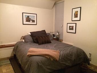 Subject: Apartment Available: 1 bedroom (UNDER MARKET pricing) 1