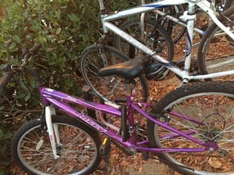 woman's bike $80 2