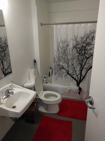 Sublet Lyman 2BR 1 Bath Male June 9-Sept 23 3