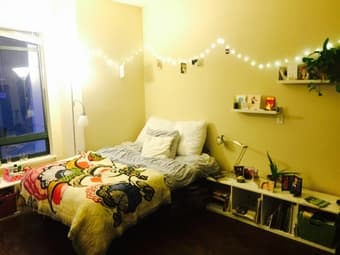 Fully Furnished Large (Shared) Bedroom in 2BD/2Bath SF Apt - $1200 1